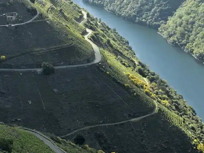 Catamarán Río Sil, paseos por la Ribeira Sacra y Cañones del Sil